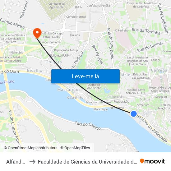 Alfândega to Faculdade de Ciências da Universidade do Porto map