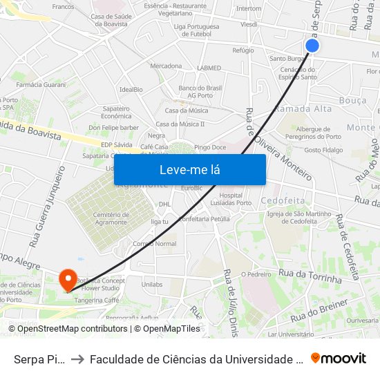 Serpa Pinto to Faculdade de Ciências da Universidade do Porto map