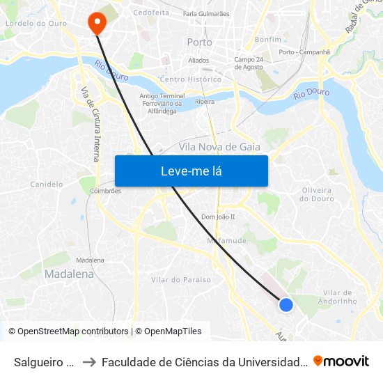 Salgueiro Maia to Faculdade de Ciências da Universidade do Porto map