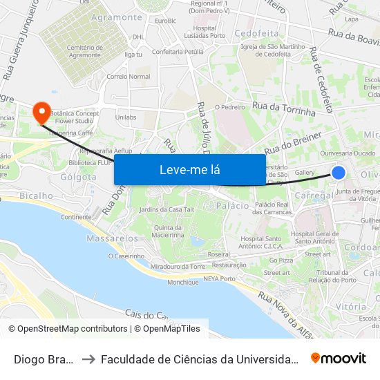 Diogo Brandão to Faculdade de Ciências da Universidade do Porto map