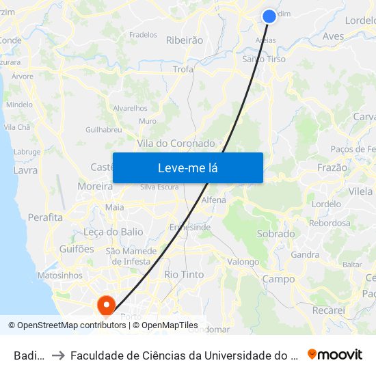 Badina to Faculdade de Ciências da Universidade do Porto map