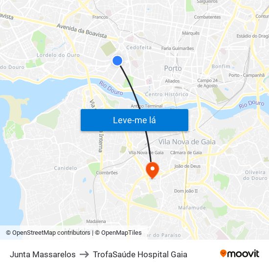 Junta Massarelos to TrofaSaúde Hospital Gaia map