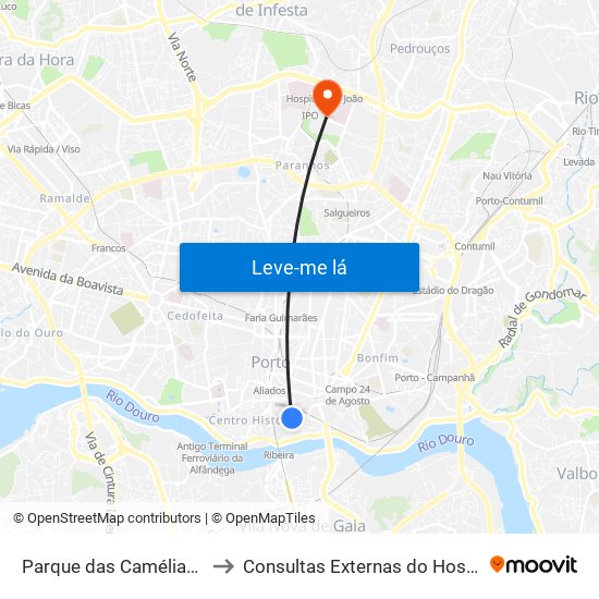 Parque das Camélias (Terminal) to Consultas Externas do Hospital São João map
