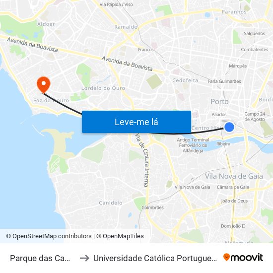 Parque das Camélias (Terminal) to Universidade Católica Portuguesa - Centro Regional do Porto map