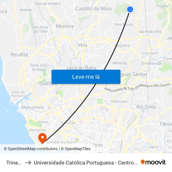 Trinaterra to Universidade Católica Portuguesa - Centro Regional do Porto map