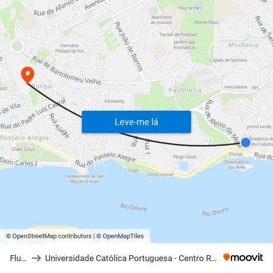 Fluvial to Universidade Católica Portuguesa - Centro Regional do Porto map
