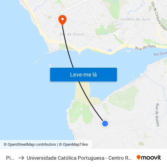 Picão to Universidade Católica Portuguesa - Centro Regional do Porto map