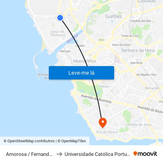 Amorosa / Fernando Aroso (Supermercado) to Universidade Católica Portuguesa - Centro Regional do Porto map