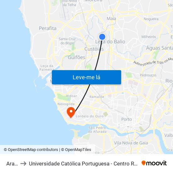 Araújo to Universidade Católica Portuguesa - Centro Regional do Porto map