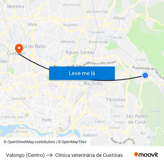 Valongo (Centro) to Clínica veterinária de Custóias map