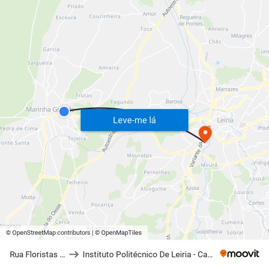 Rua Floristas Gravadores to Instituto Politécnico De Leiria - Campus 2 Estg / Esslei / Ued map