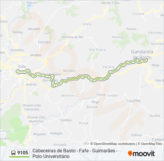 Mapa da linha do autocarro 9105.