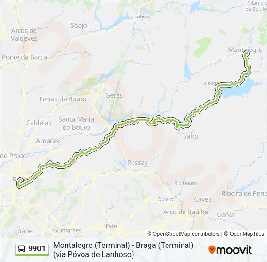 9901 Bus Line Map