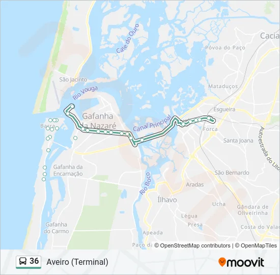 36 Bus Line Map