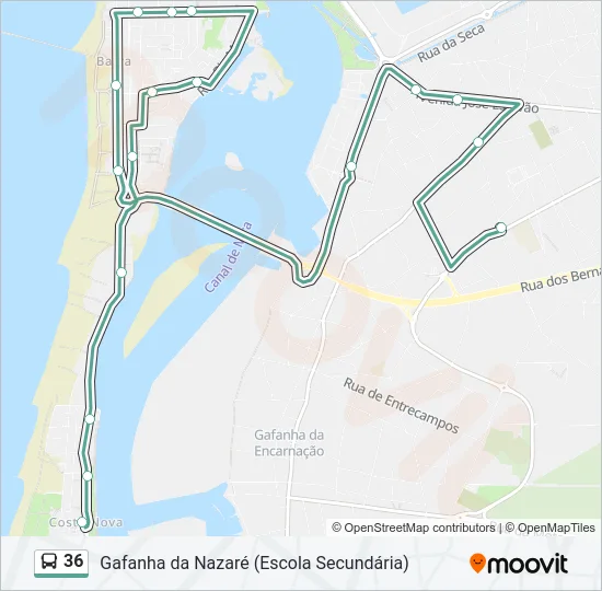 36 Bus Line Map