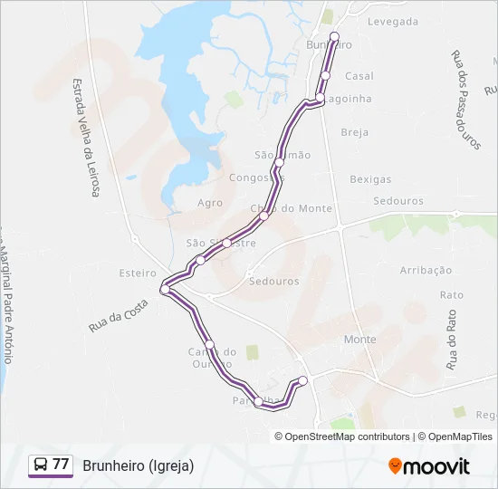 77 Bus Line Map