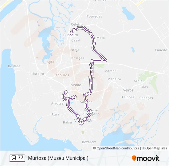77 Bus Line Map