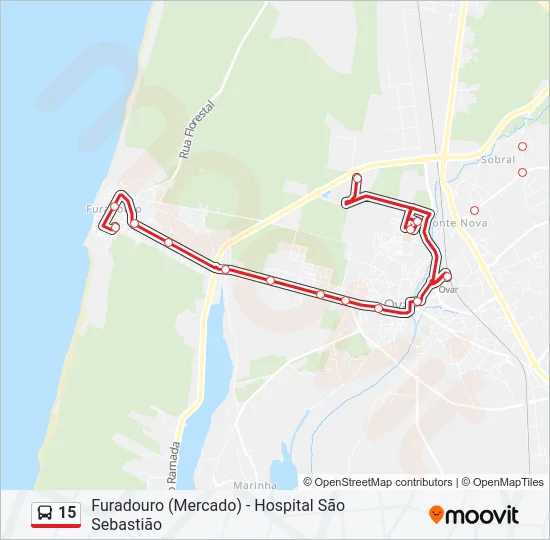 15 Bus Line Map
