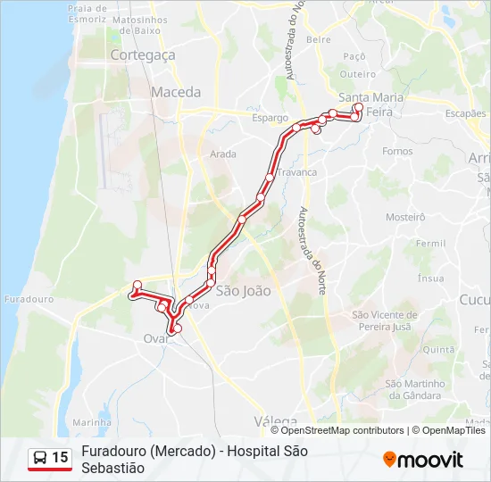 15 Bus Line Map