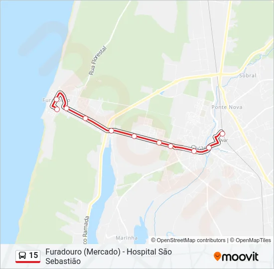 15 Bus Line Map