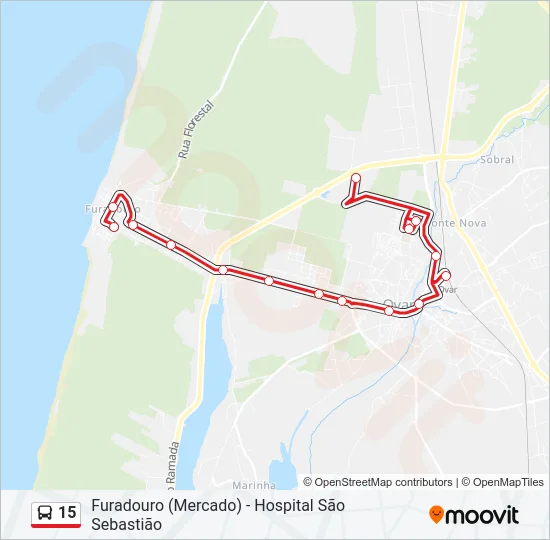 15 Bus Line Map