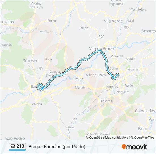213 Bus Line Map