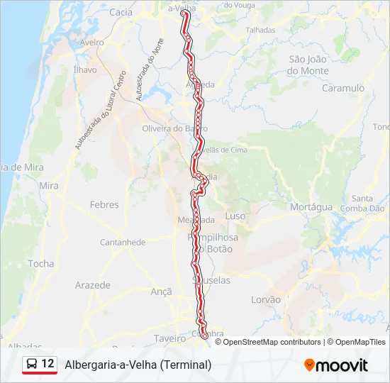 12 Bus Line Map