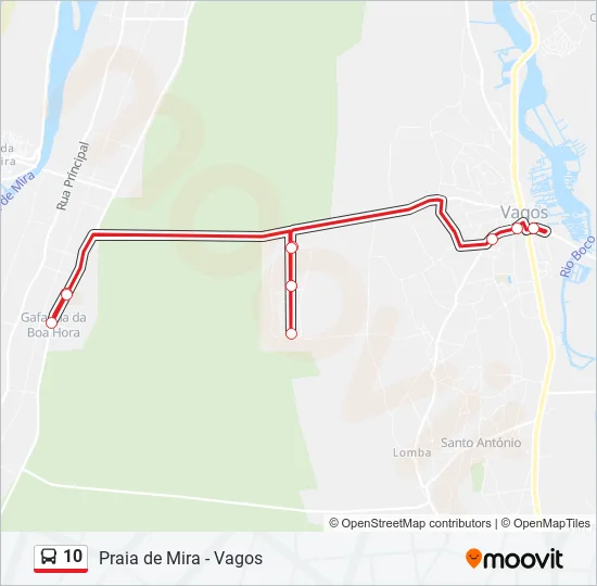 10 Bus Line Map