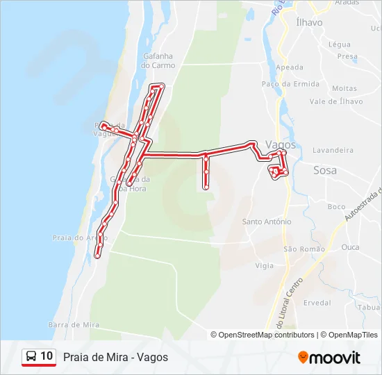 10 Bus Line Map