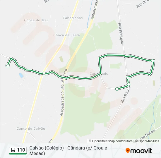 110 Bus Line Map
