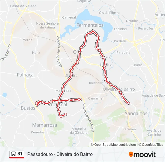 81 Bus Line Map