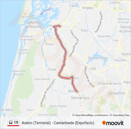 19 Bus Line Map