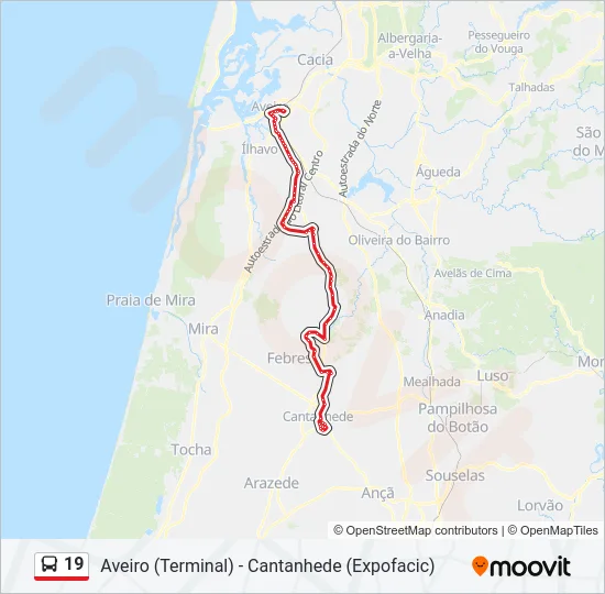 19 Bus Line Map