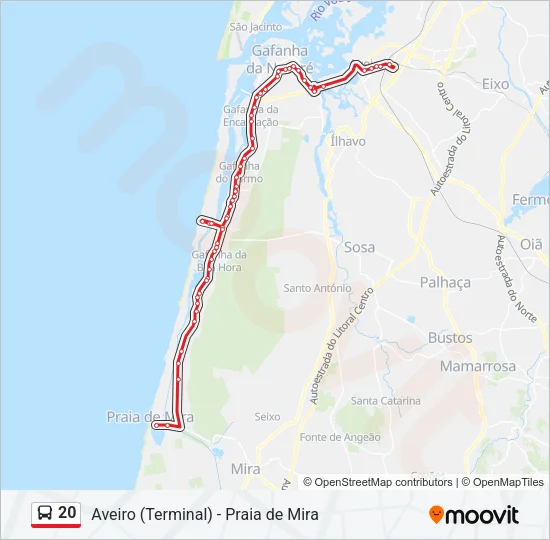 20 Bus Line Map