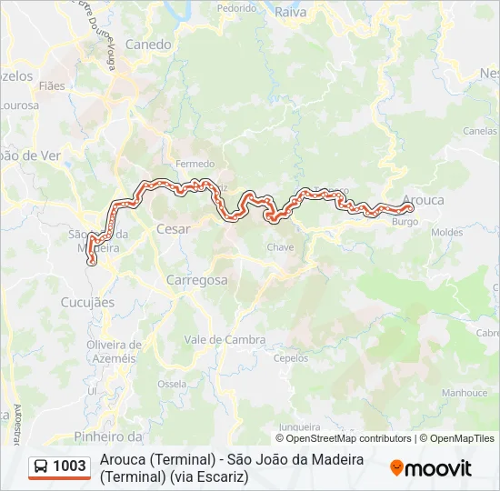 1003 Bus Line Map