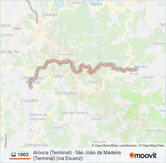 1003 Bus Line Map