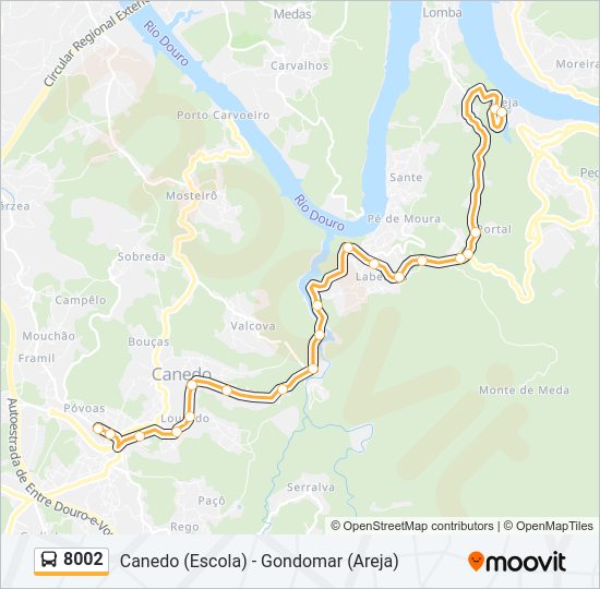 Mapa da linha do autocarro 8002.