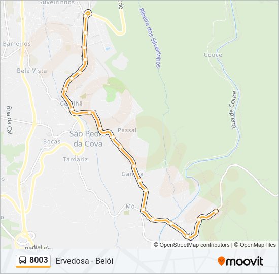 Mapa da linha do autocarro 8003.