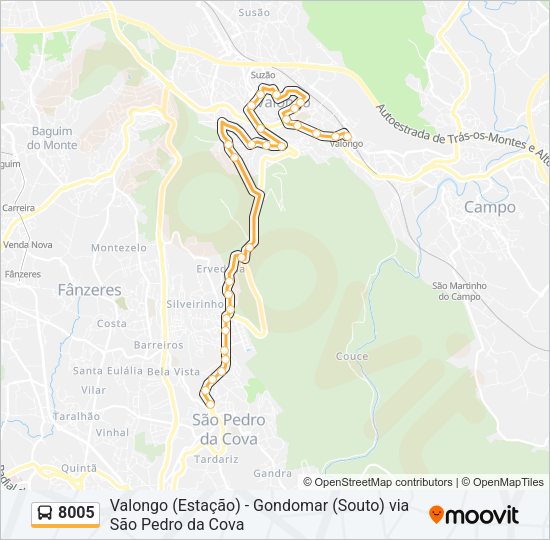 Mapa da linha do autocarro 8005.