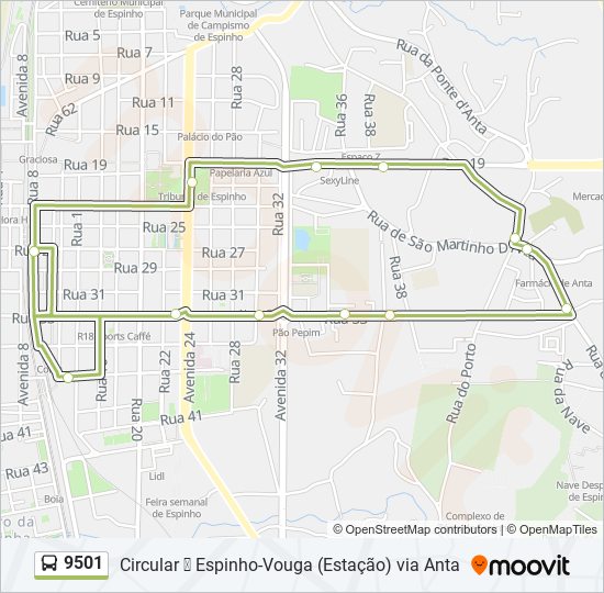 Mapa da linha do autocarro 9501.