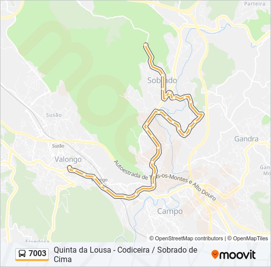 Mapa da linha do autocarro 7003.