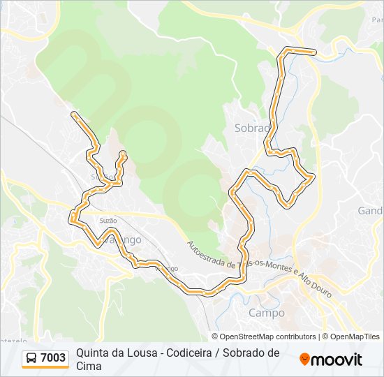 Mapa da linha do autocarro 7003.