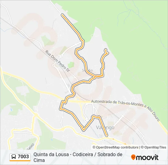 7003 Bus Line Map