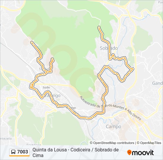 Mapa da linha do autocarro 7003.
