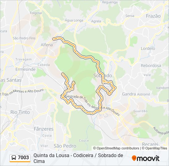 Mapa da linha do autocarro 7003.