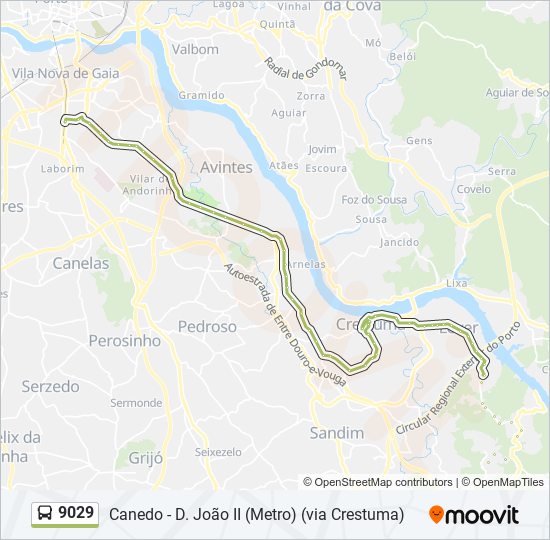 Mapa da linha do autocarro 9029.