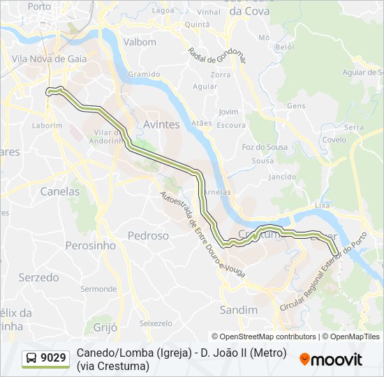 Mapa da linha do autocarro 9029.