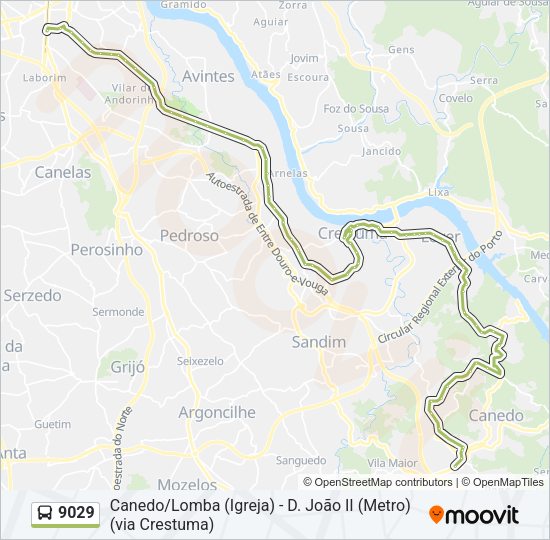 Mapa da linha do autocarro 9029.