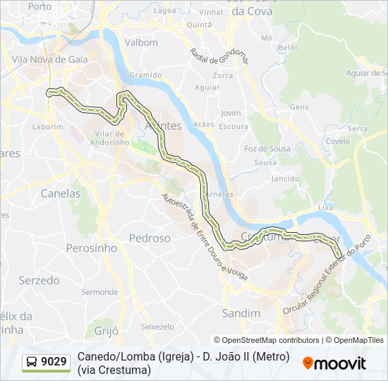Mapa da linha do autocarro 9029.