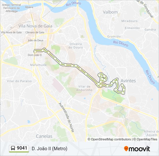 Mapa da linha do autocarro 9041.